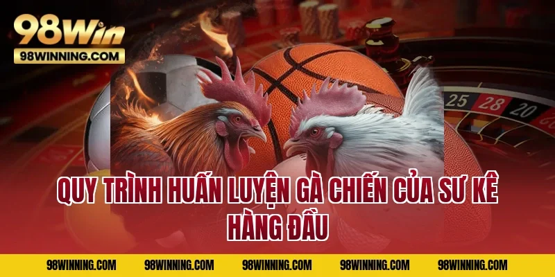 Quy trình huấn luyện gà chiến của sư kê hàng đầu